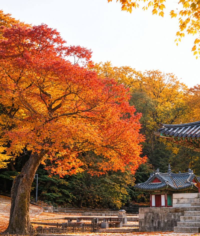전북 가을 단풍 명소 10곳｜내장산부터 고즈넉한 사찰과 향교까지