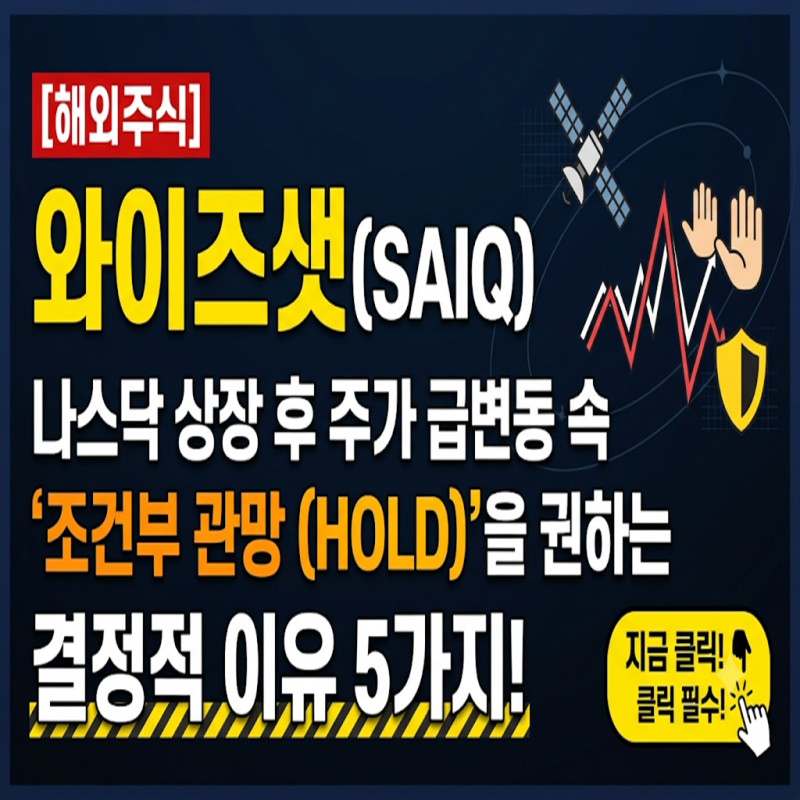 [해외주식] 와이즈샛 스페이스 홀딩스, 상반기 매출 0원인데 나스닥 직상장? 양자 암호 테마 ....