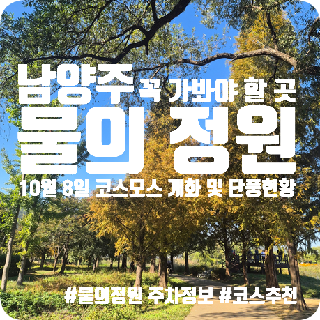 서울 근교 나들이 추천 | 남양주 가볼만한곳 | 물의정원 10월 8일 코스모스 개화 상태 및 단풍 ....