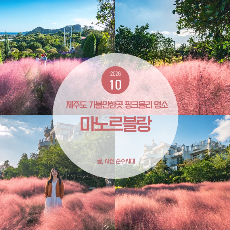 10월 제주도 가볼만한곳 핑크뮬리 명소 제주 마노르블랑