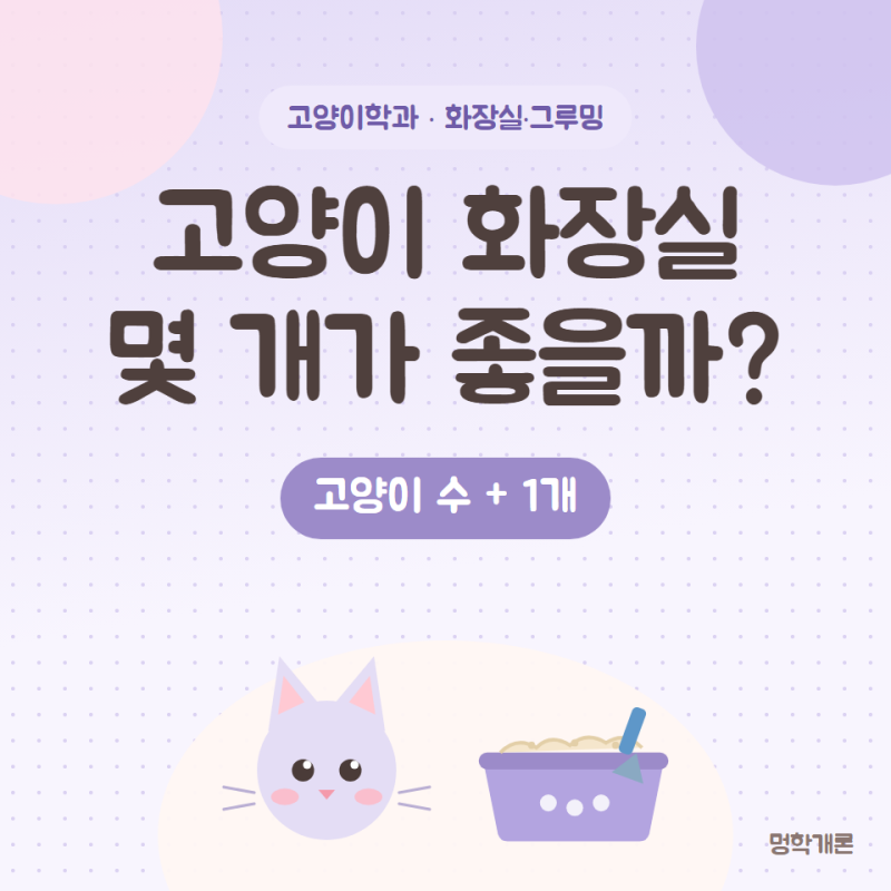 고양이 화장실 개수와 위치 크기 모래 청소까지 정리