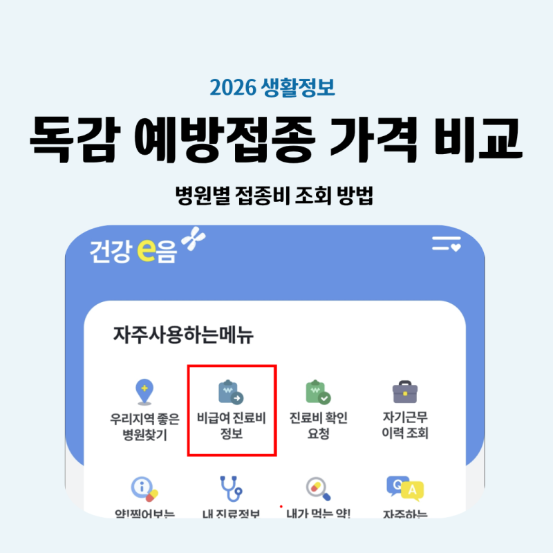 독감 예방접종 가격 비교 사이트, 병원별 접종비 조회 방법