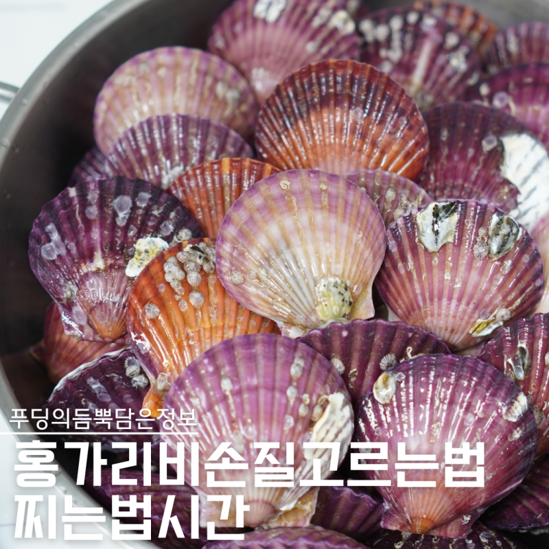 홍가리비찌는법 딱 N분, 질기지 않은 홍가리비찜