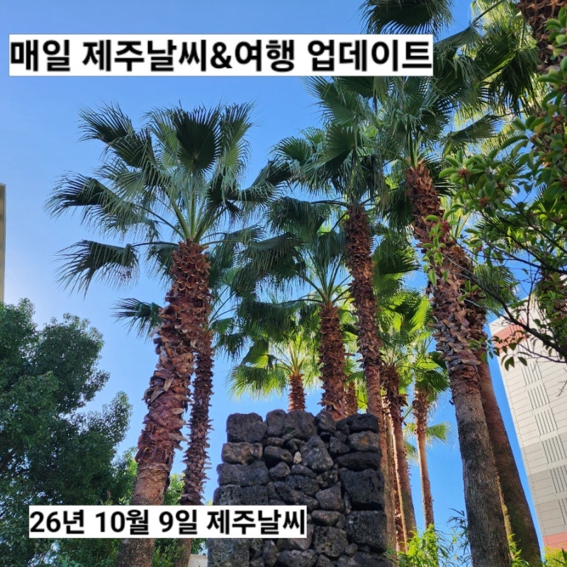 10월 9일 제주도 날씨 서귀포 실시간 옷차림 바람 없는 따스한 가을 날씨