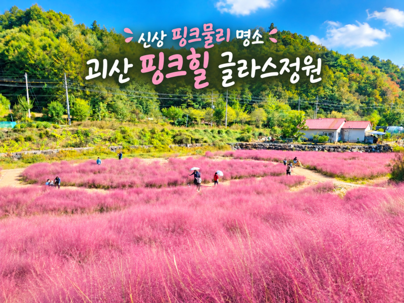 괴산 가볼만한곳 신상 핑크뮬리 명소 핑크힐 글라스 정원