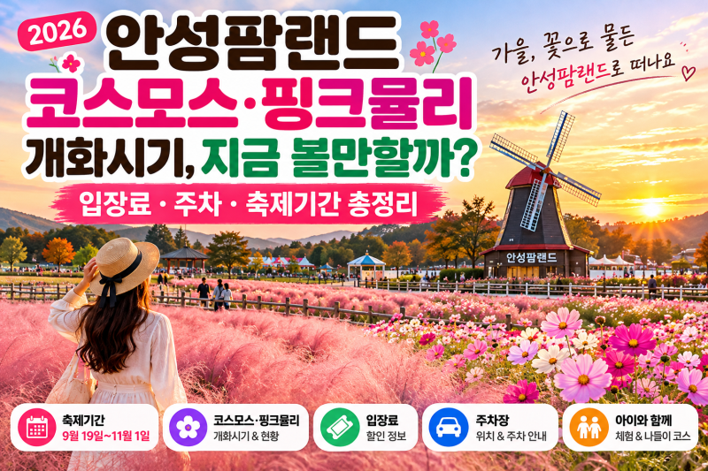 2026 안성팜랜드 코스모스 개화시기, 지금 볼만할까? 핑크뮬리·입장료·주차 총정리