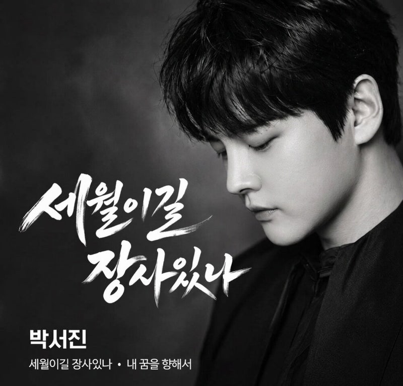 박서진 - 세월이길 장사있나 내 꿈을 향해서 원곡 듣기 가사 라이브