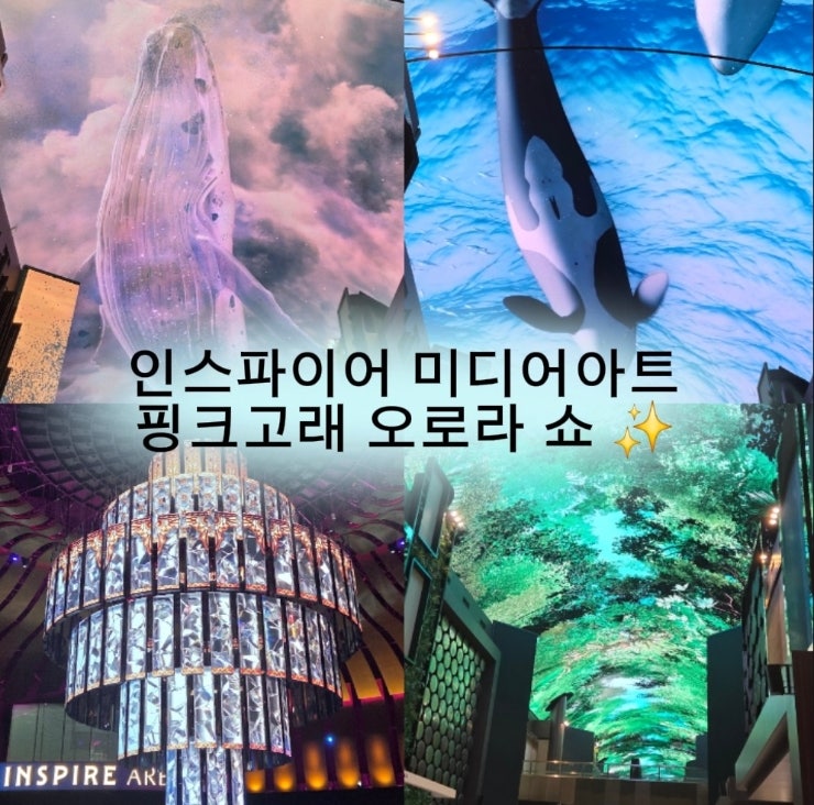 인스파이어 호텔 그 유명한 핑크고래 어디에? 위치·주차 정보 총정리 + 로툰다 쇼