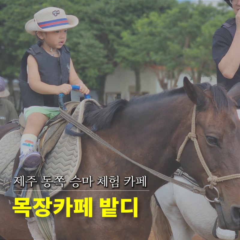 35개월 아기랑 제주여행)) 목장 카페 밭디 아기 승마 체험, 말먹이 주기 후기