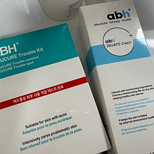 내돈내산 인스타템 후기 -ABH+ 크림