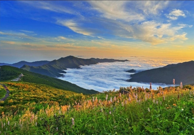 지리산 종주, 능선을 따라 걷는 2박 3일 대표 코스부터 대피소 예약, 준비물과 주의사항까지