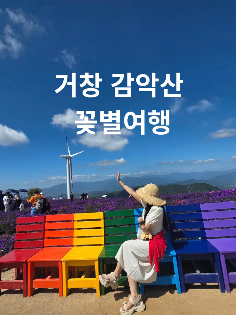 거창 감악산 꽃별여행｜9월 20일 축제 초반 다녀온 후기