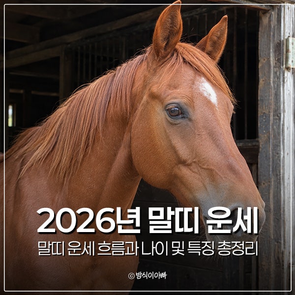 2026년 말띠 운세 흐름과 나이 및 특징 총정리