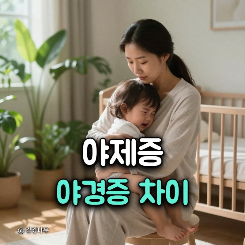 야제증 야경증 차이, 밤에 우는 원인과 대처법