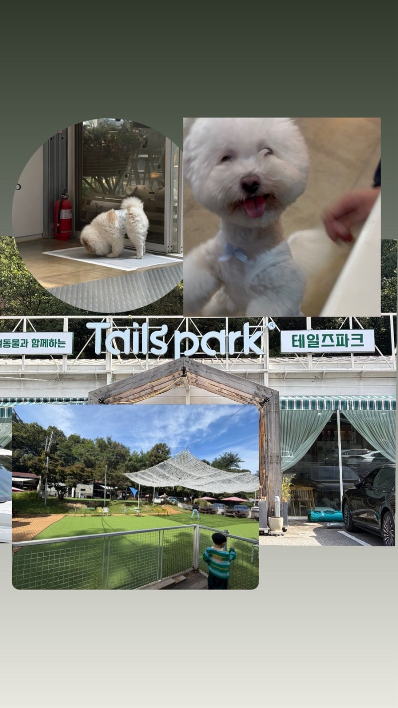용인 애견카페 추천 [테일즈 파크] 반려견도 견주도 힐링하는곳