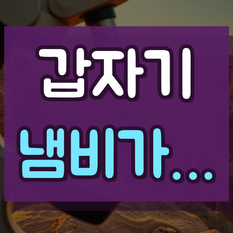 일회용 알루미늄 캠핑 냄비 KJ-01442 10개