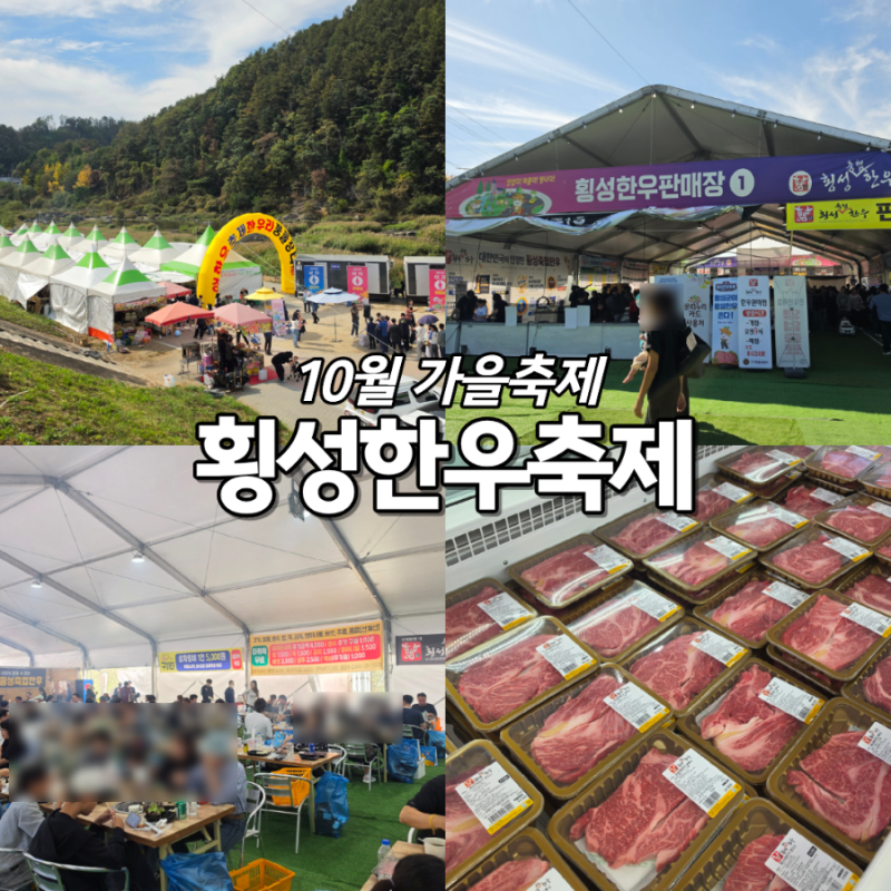 원주근교 횡성한우축제 10월9일 실시간 후기