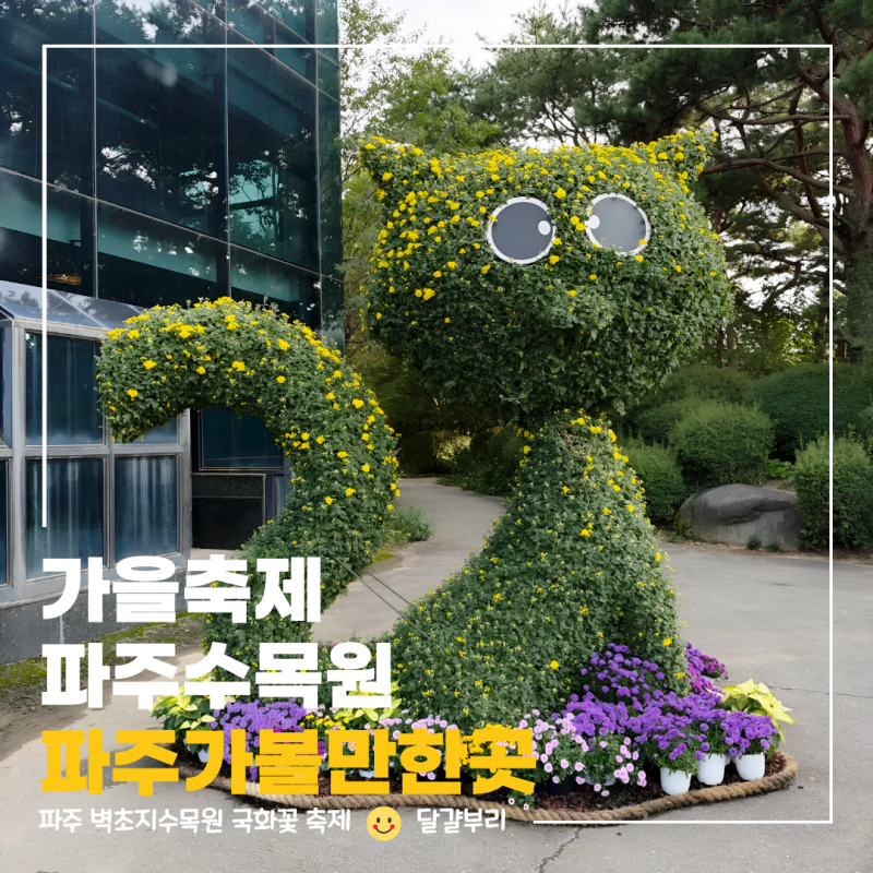 파주 벽초지수목원 국화꽃 가을축제 아이와 걷기 좋은 파주나들이 후기