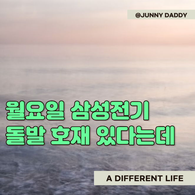 폭락할 땐 곡소리 나더니 삼성전기 주가 또 300만원 간다는데