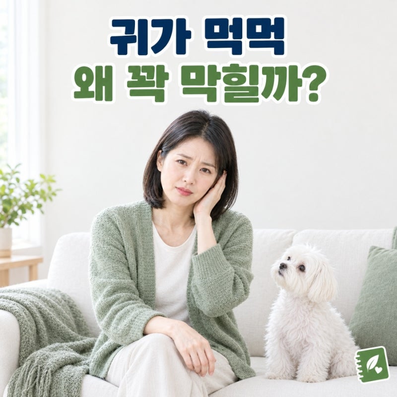귀 먹먹함, 아침마다 물 찬 듯 꽉 막힌 느낌이라면