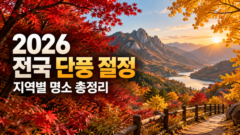 2026 전국 단풍 절정 시기 총정리｜설악산부터 내장산까지 지역별 단풍 명소 BEST 15