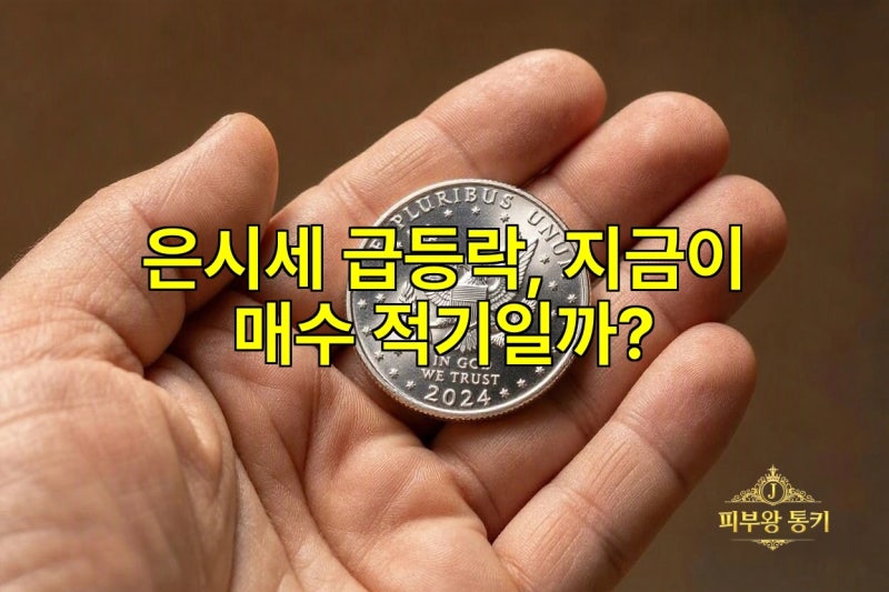 은시세 급등락, 지금이 매수 적기일까?