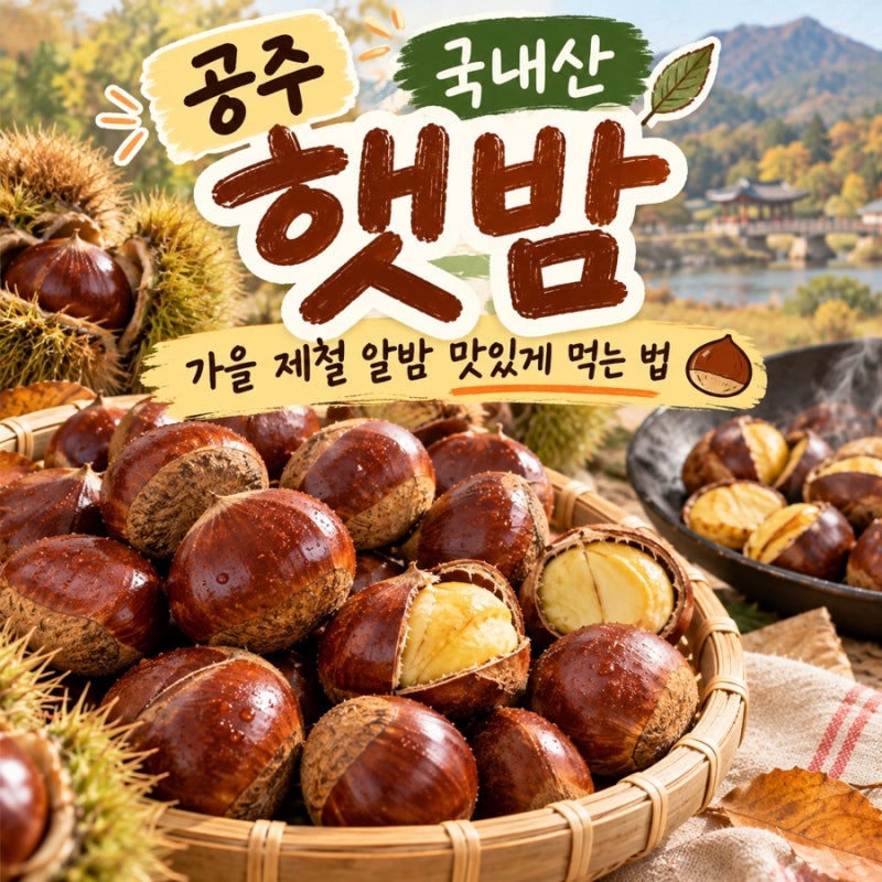 공주 국내산 햇밤 추천｜가을 제철 알밤 맛있게 먹는 법