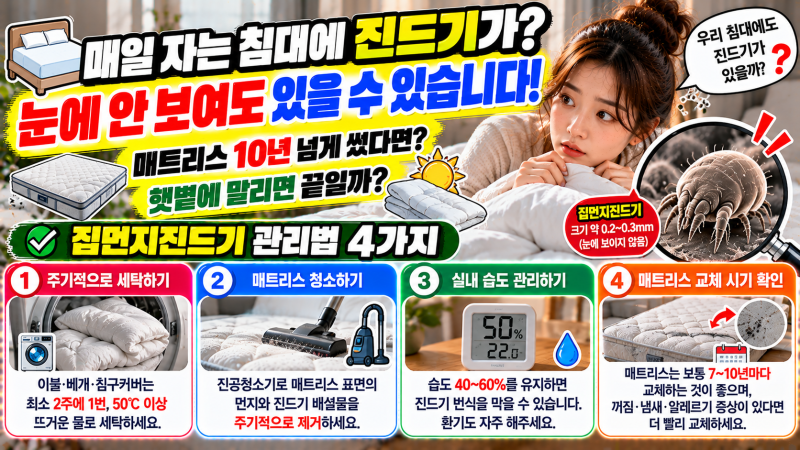 침대 매트리스에 진드기가 산다?｜눈에 안 보이는 집먼지진드기 관리법