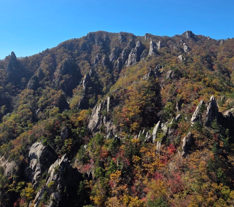 설악산 흘림골,주전골 단풍산행 (등선대~용추폭포~오색약수터)
