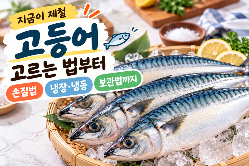 고등어 고르는 법부터 손질법·냉장 냉동 보관법까지
