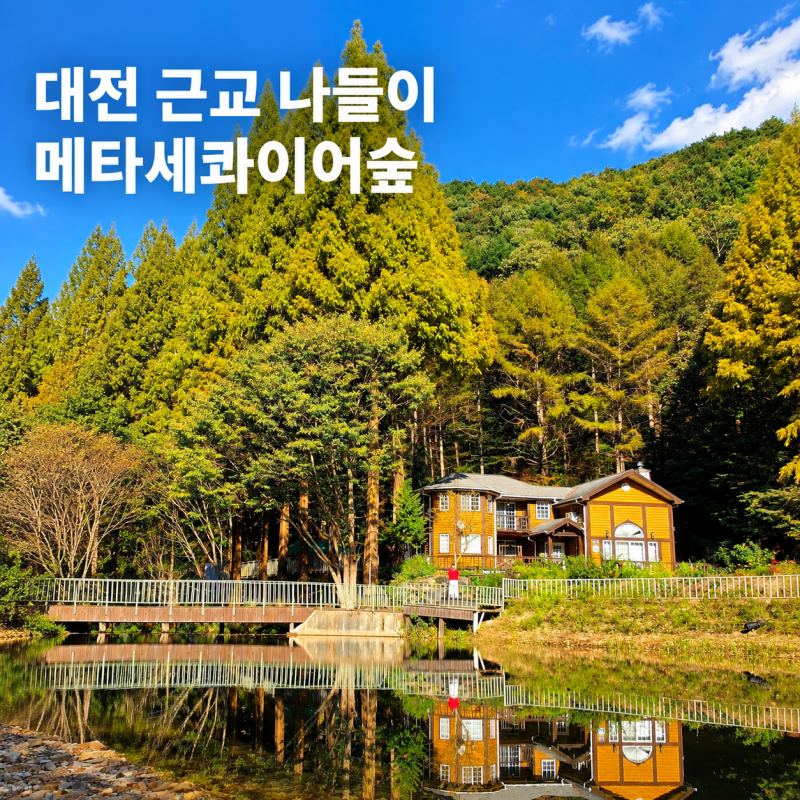 논산 온빛자연휴양림부터 돈암서원까지, 충남 대전 근교 가을 단풍명소 드라이브 코스