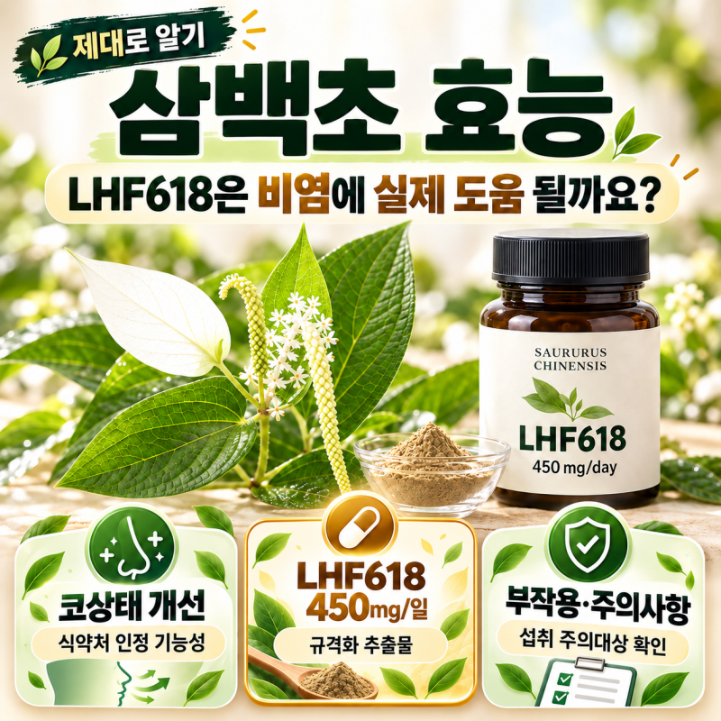 삼백초 효능 제대로 알기: 삼백초추출물 LHF618은 비염에 실제 도움 될까요? 부작용 정리