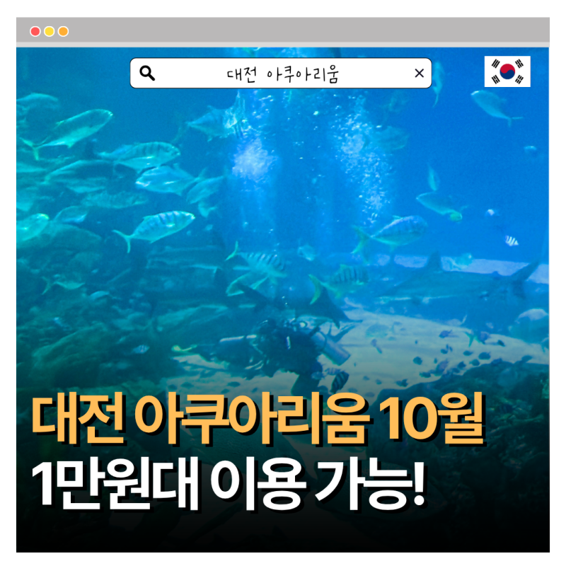 대전 아쿠아리움 아이랑 가볼만한곳 추천 할인 가격 공연시간 총정리