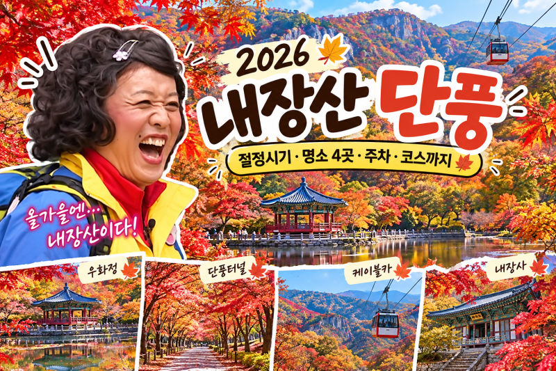 [정읍] 2026 내장산 단풍 절정 시기 총정리주차장·셔틀버스·케이블카·가는 법