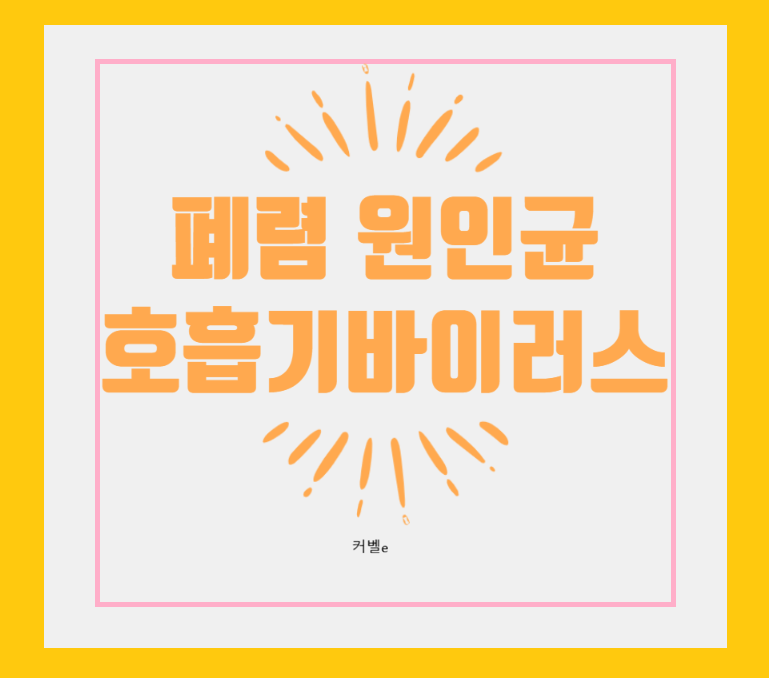 폐렴 원인균 및 호흡기 바이러스 종류와 증상
