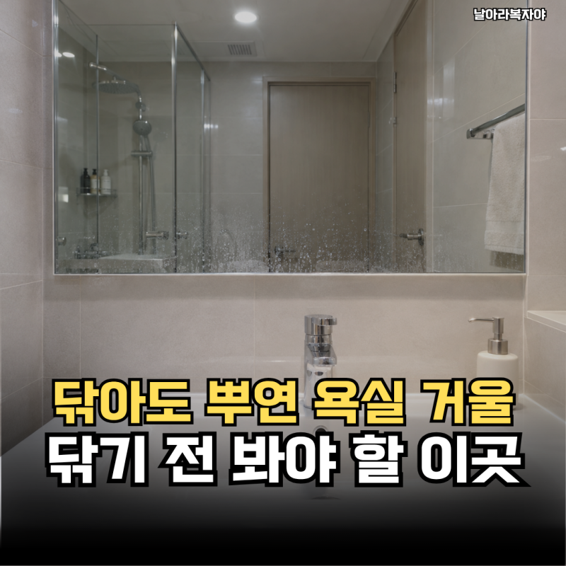 욕실 거울이 닦아도 뿌옇다면? 거울 청소에서 놓친 부분