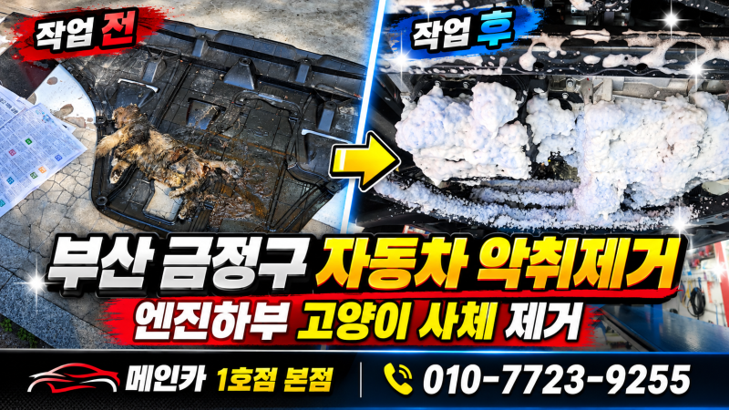 부산 금정구 자동차 악취제거, 고양이 사체 부패 냄새와 스테인리스망 설치