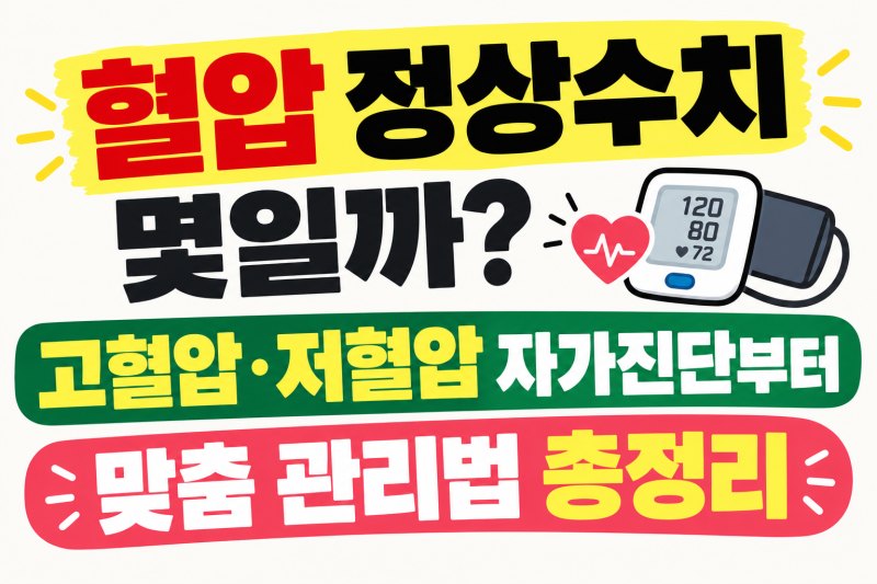 혈압 정상수치 몇일까? 고혈압·저혈압 자가진단부터 맞춤 관리법 총정리