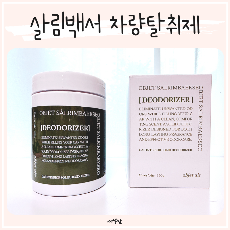 살림백서 오브제 차량탈취제, 자동차 냄새제거 고체 차량용방향제로 쾌적하게
