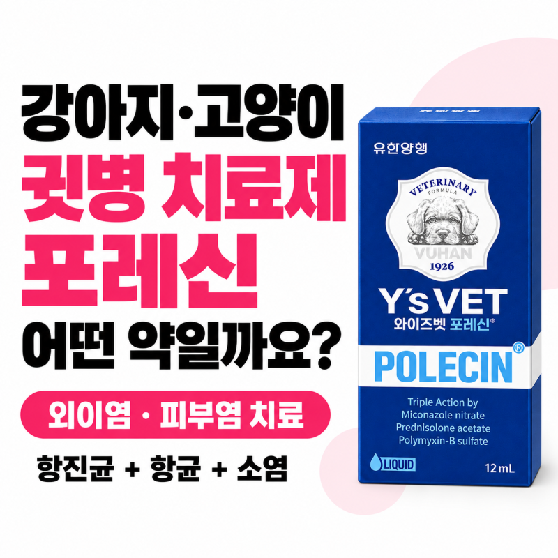 강아지 고양이 귀 냄새와 갈색 귀지, 와이즈벳 포레신은 어떤 약일까요? - 안산 동물약국