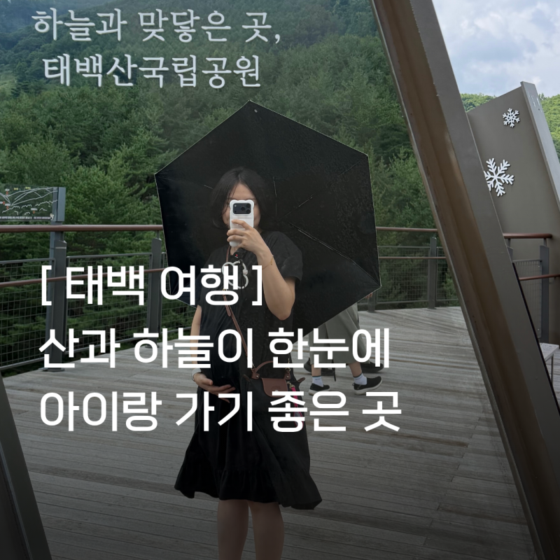 태백 가볼만한곳 찾는다면 태백산국립공원 하늘전망대 꼭 가보세요!