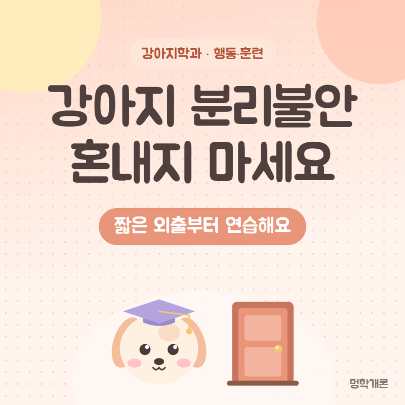 강아지 분리불안 증상과 훈련법 혼자 있을 때 짖는 이유