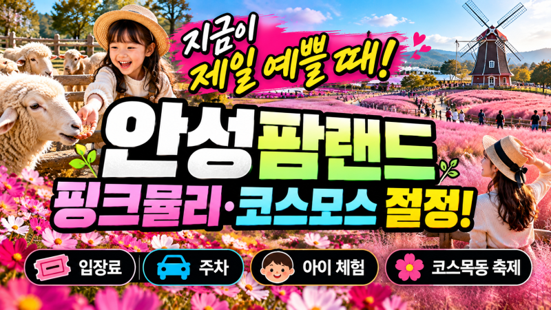 안성팜랜드 핑크뮬리 지금이 절정? 코스모스·입장료·주차·아이 체험 총정리
