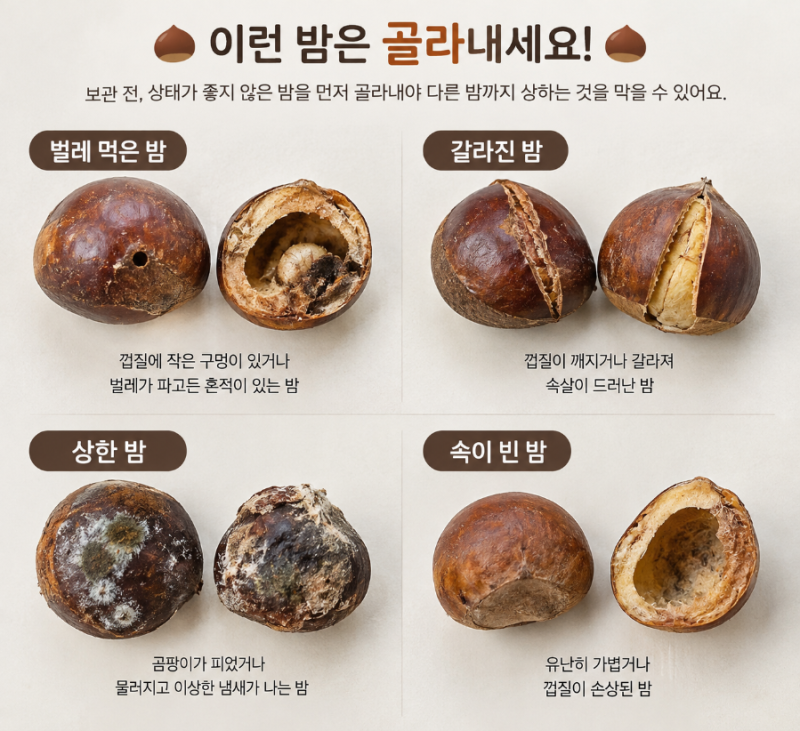 밤 보관법, 생밤 냉장·냉동 보관 기간과 벌레 먹은 밤 구별법