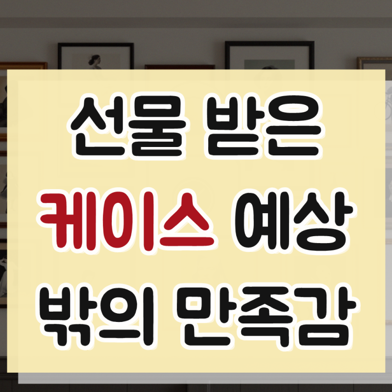갤럭시 노트 20 울트라 맥세이프 케이스, 써보니 좋아서 직접 재구매했어요