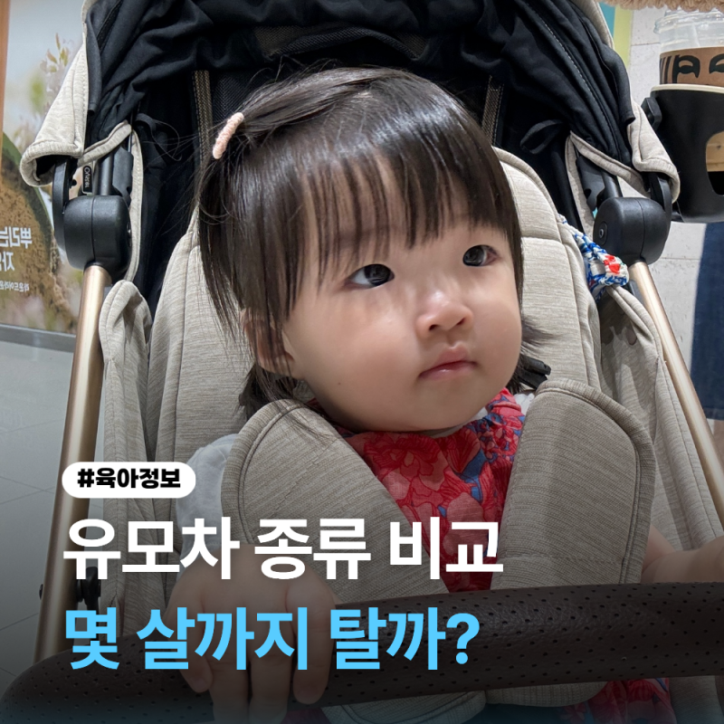 유모차 언제까지 탈까? 디럭스·절충형·휴대용 차이 정리