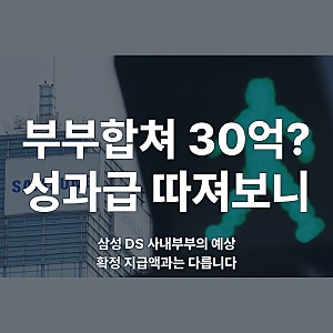 “부부 합쳐 30억이라고?” 삼성 DS 사내부부 성과급 계산해보니