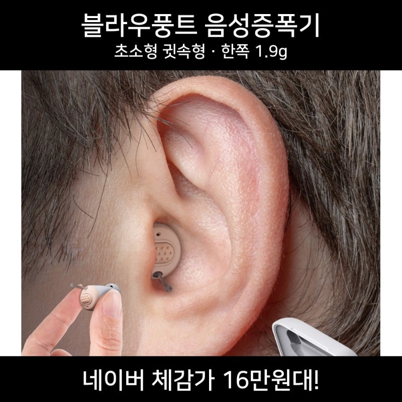 블라우풍트 음성증폭기 초소형 소리증폭기 귓속형 사용후기 / 단점 / 10월 가격