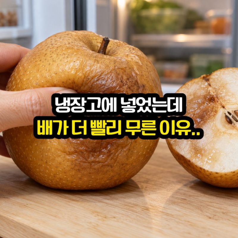 냉장고에 넣었는데 배가 더 빨리 무른 이유.. 같이 둔 과일이 문제였다는데