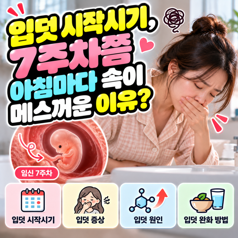 입덧 시작시기, 7주차쯤 아침마다 속이 메스꺼운 이유?